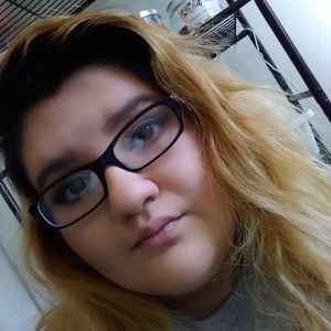 Meet your Posher, Timmie